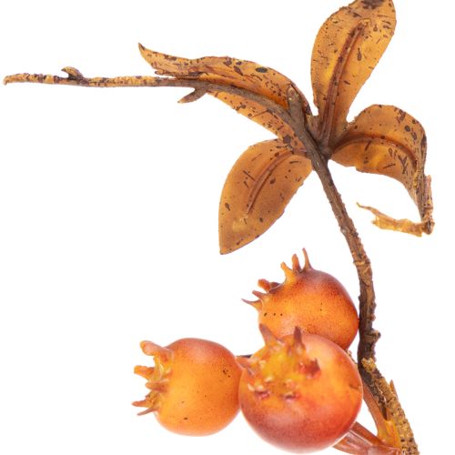 Künstlicher Weißdornzweig 75 cm Braun Orange Innenbereich | Floristik21.de