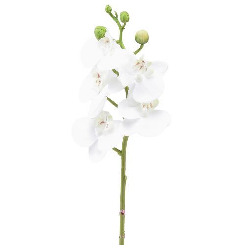 Artikel Weiße Orchidee Künstlich Phalaenopsis Real Touch 32cm