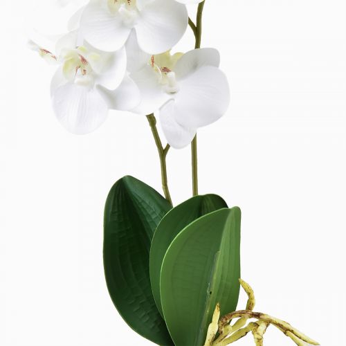 Artikel Weiße Orchidee am Pick Künstlich Phalaenopsis Real Touch 39cm