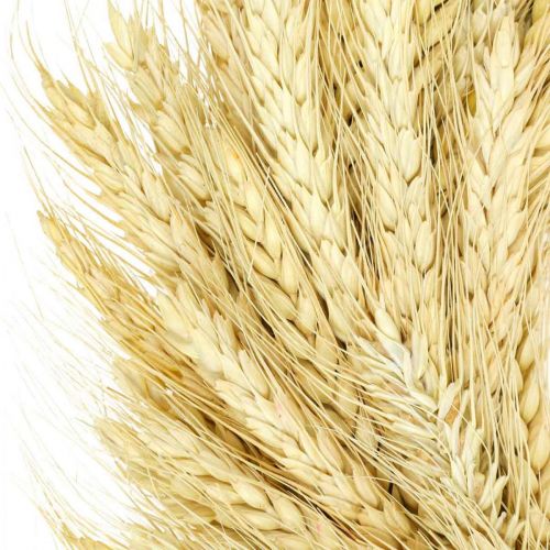 Naturkranz, Weizenkranz, Ährenkranz, Getreidekranz 37cm