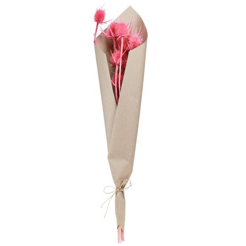 Artikel Wilde Karde Rosa Deko-Kardendisteln 53cm 10 Köpfe 3 St - Trockenblumen