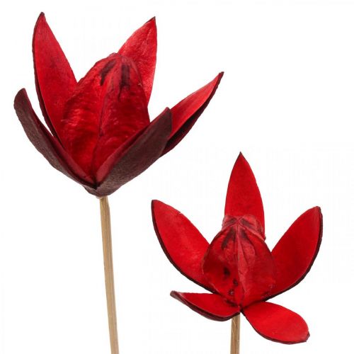 Floristik21 Wildlilie am Stiel Rot Ø6,5cm 35cm 45 St