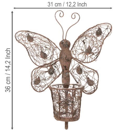 Windlicht Metall Wanddeko Schmetterling Rost Deko 36,5cm | Floristik21.de