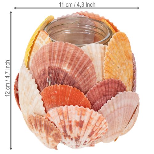 Artikel Glas-Teelichthalter 12 cm mit echten Muscheln für Innenbereiche