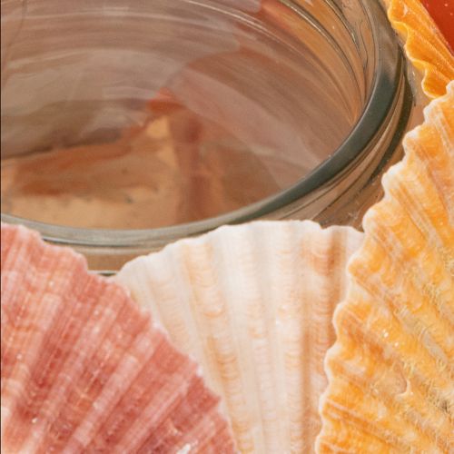 Artikel Glas-Teelichthalter 12 cm mit echten Muscheln für Innenbereiche