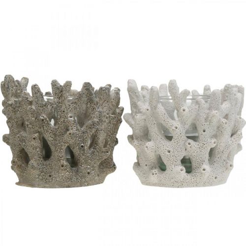 Floristik21 Windlicht mit Glas im Korallendesign maritime Deko Weiß künstlich Ø9,5cm