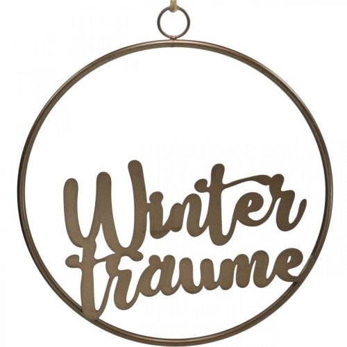 Floristik21 Fensterdeko hängend Schriftzug Winterträume 30,5cm