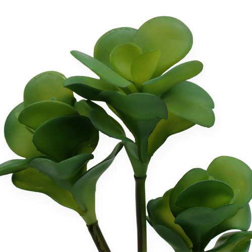 Floristik21 Kunstpflanzen Wüstenkohl Grün 25cm 3St