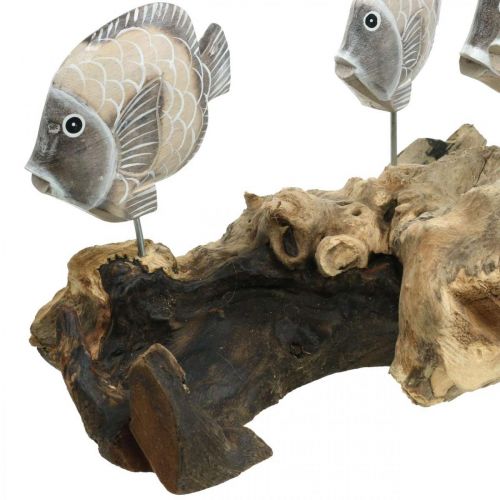 Artikel Deko-Fische auf Wurzelholz Maritime Deko Figuren Braun 38cm