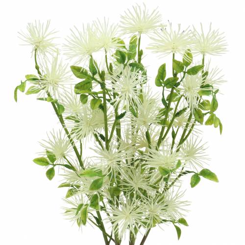 Floristik21 Xanthium Seidenblume Weiß 53cm 6St