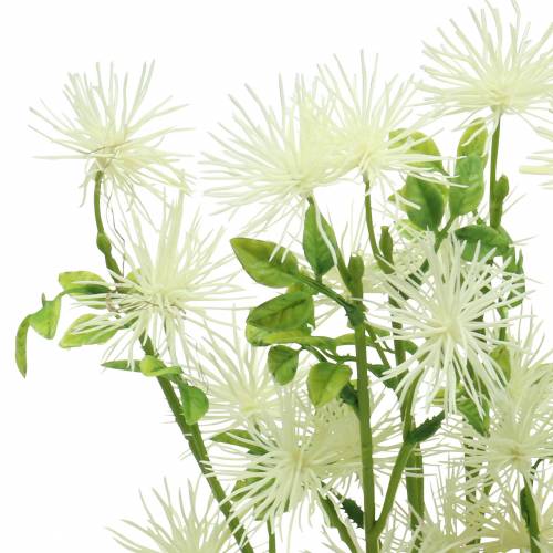 Floristik21 Xanthium Seidenblume Weiß 53cm 6St