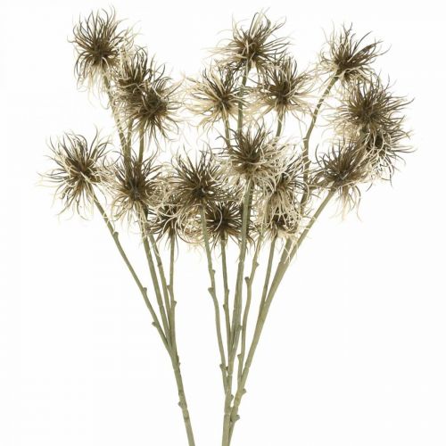 Floristik21 Xanthium Kunstblume Herbstdeko 6Blüten Creme, Braun 80cm 3St