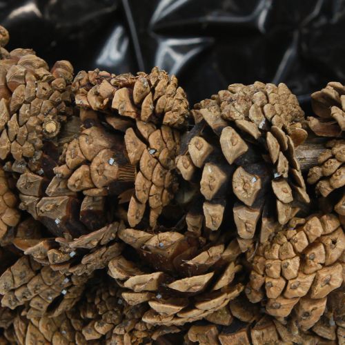 Artikel Zapfenkorb Natur Ø33 cm mit Kunststoff-Einsatz für Pflanzen und Deko