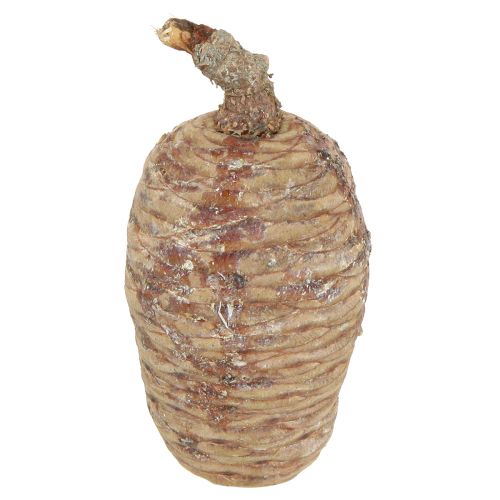 Zedernzapfen Naturdeko Set - Vielseitige Deko für Floristik und kreative Gestaltung