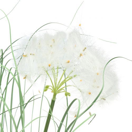 Artikel Ziergras mit weißen Samen Grün H73cm