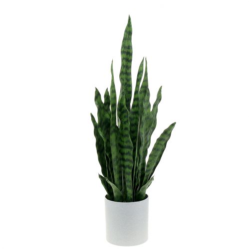 Sansevieria künstlich im Topf H62cm Sansevieria künstlich im Topf H62cm