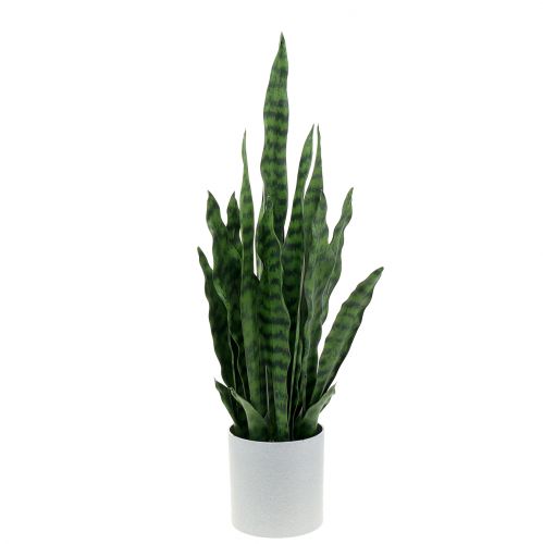 Floristik21 Sansevieria künstlich im Topf H62cm