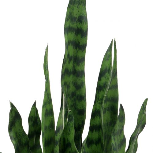 Sansevieria künstlich im Topf H62cm