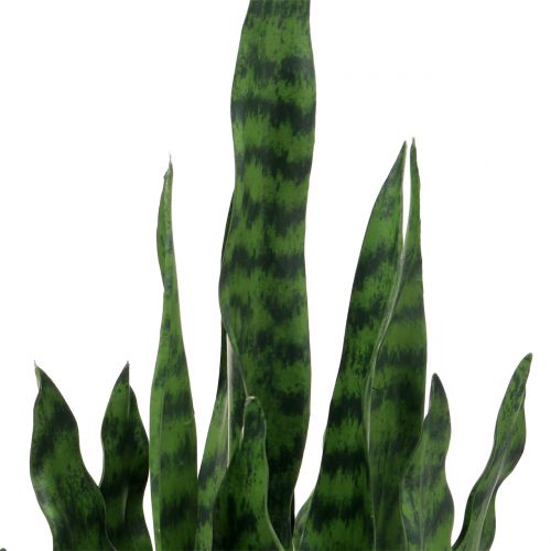 Artikel Sansevieria künstlich im Topf H90cm