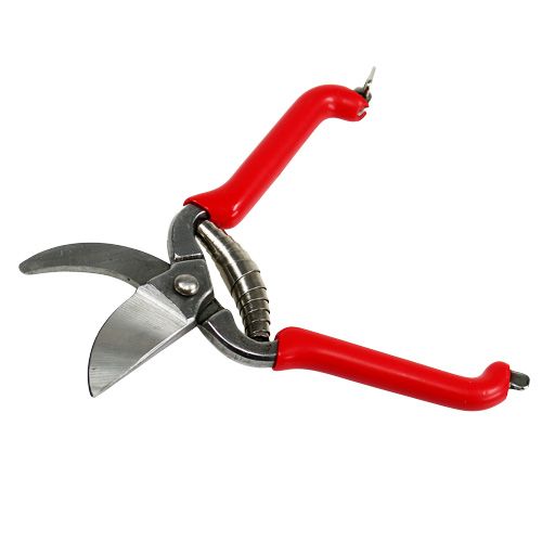 Zimmerpflanzenschere Bonsaischere Zimmerpflanzenschere Bonsaischere