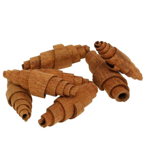Zimt Croissant Deko 6,5cm - 7cm 30 St | Floristik21.de