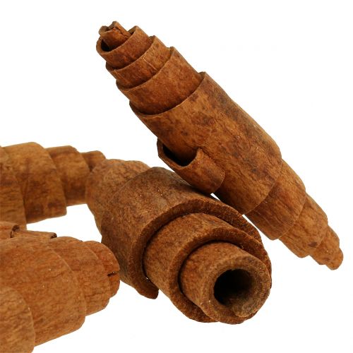 Zimt Croissant Deko 6,5cm - 7cm 30 St | Floristik21.de