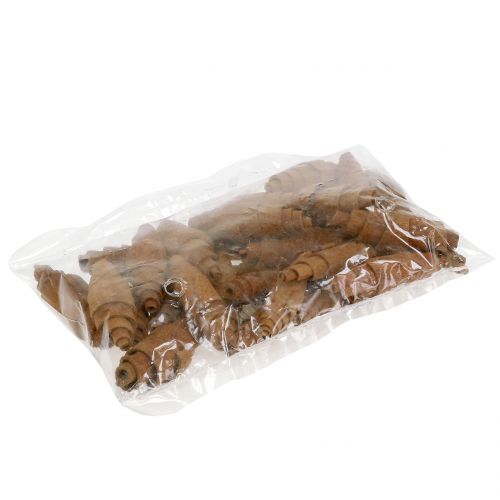 Zimt Croissant Deko 6,5cm - 7cm 30 St | Floristik21.de