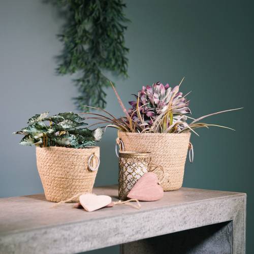 Zinktopf mit Jute-Übertopf Ø13cm H12cm