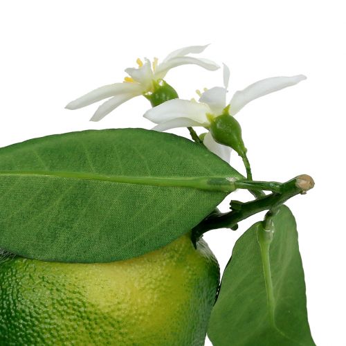 Artikel Zitronen mit Blüte 9,5cm Grün 4St