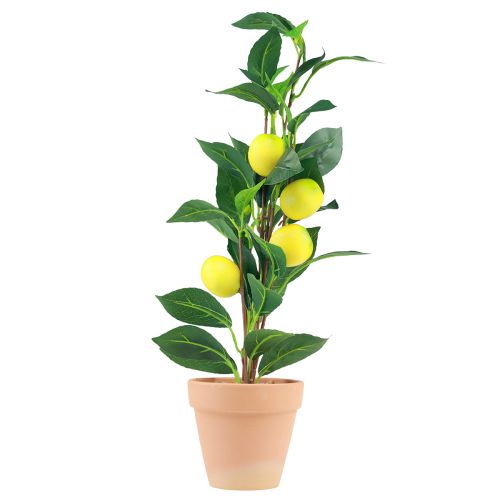Floristik21 Zitronenbaum im Topf Künstliche Pflanze 42cm