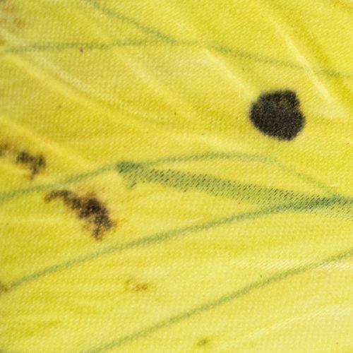 Artikel Schmetterlingszweig 75cm Gelb Deko Frühling Kunstblume für Innen