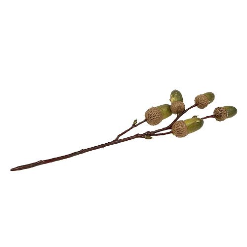 Zweig mit Eichel Braun, Grün L30cm