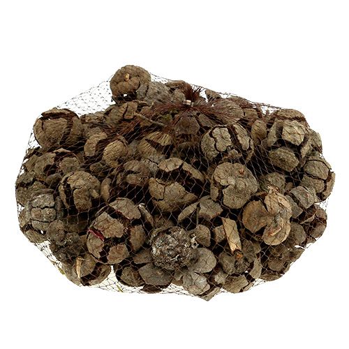Artikel Zypressen Zapfen Natur 3cm 500g
