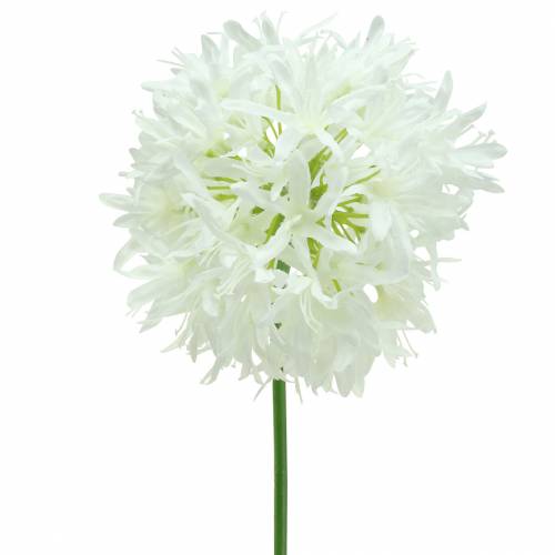 Floristik21 Zierlauch Allium künstlich Weiß Ø12cm H62cm