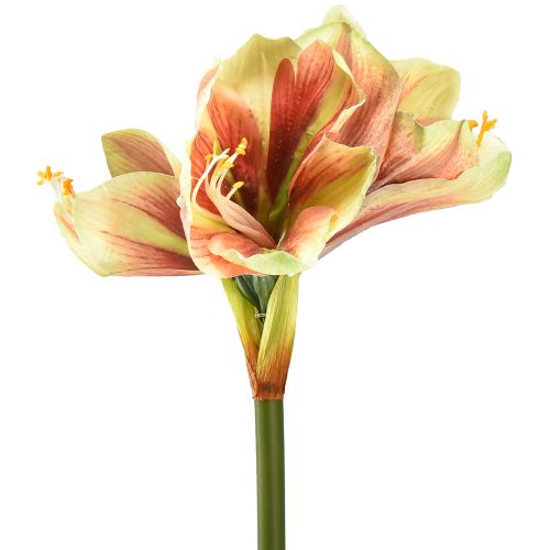 Floristik21 Künstliche Amaryllis Blume in Rosa und Gelb – 66 cm – Ideale Geschenkidee und stilvolle Dekoration für Innenräume