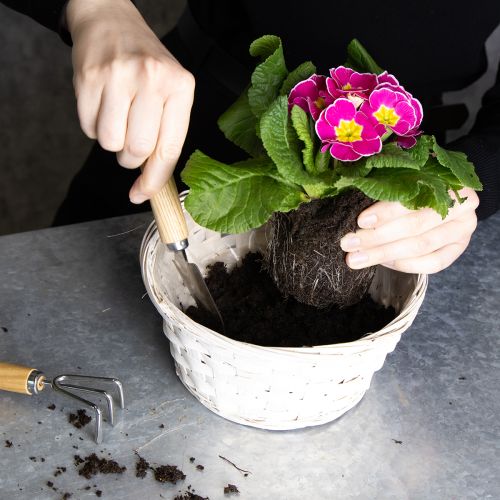 Artikel Set mit 8 weißen Bastkörben aus Spaltweide für kreative Deko und Aufbewahrung 20 cm