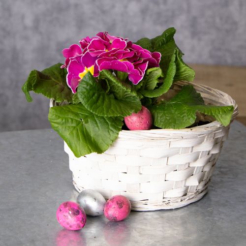 Artikel Set mit 8 weißen Bastkörben aus Spaltweide für kreative Deko und Aufbewahrung 20 cm