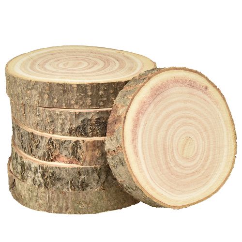Floristik21 Paulownia Holzscheiben für Dekoration Ø12-14cm - 6er Set Natürlich & Vielseitig