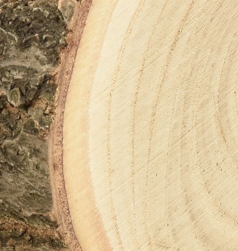 Artikel Paulownia Holzscheiben für Dekoration Ø12-14cm - 6er Set Natürlich & Vielseitig
