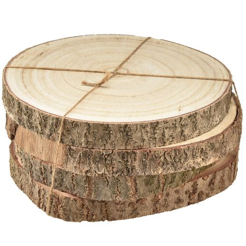 Floristik21 Paulownia Holzscheiben Natur Deko Ø17-21cm - Vielseitige Unikate für Kreative 4er Set