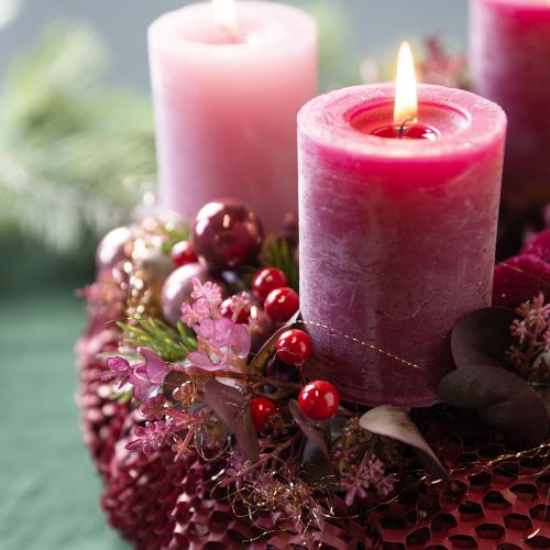 Floristik21 Beerenzweig Künstlich Rote Beeren Zweig Deko L50cm 2St