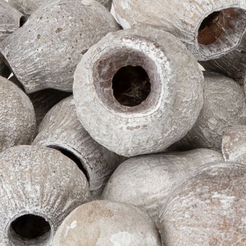 Artikel Bellgums weißgewaschen 2cm - 5cm 500g