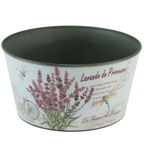 Floristik21 Übertopf Lavendel Kunststoff Blumenschale rund Ø21cm H11cm