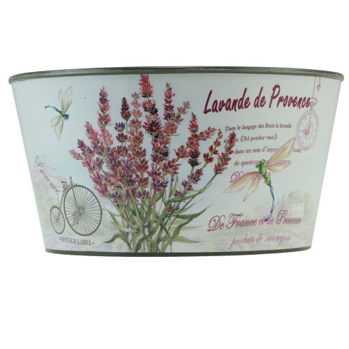Artikel Übertopf Lavendel Kunststoff Blumenschale rund Ø21cm H11cm