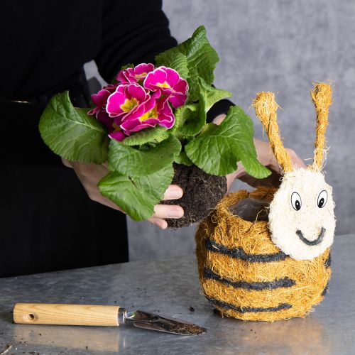 Artikel Bienenfigur aus Naturmaterialien 24cm - Nachhaltige Deko im 2er-Set