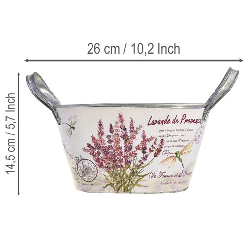 Blumenschale mit Griffen oval Metall Lavendel 26×13×14,5cm | Floristik21.de