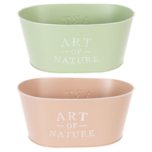 Blumenschale oval Zink 27×18cm H12,5cm Verschiedene Farben einkaufen | Floristik21.de