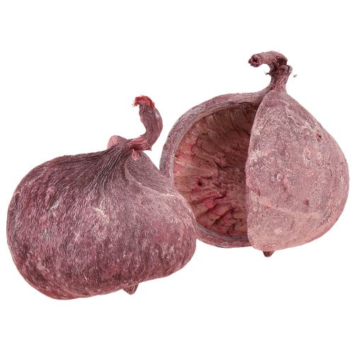 Artikel Buddha Nut Rot Weiß Getrocknet Natur Deko Ø5,5–9,5cm 5 St