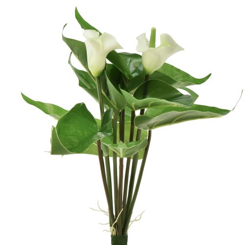 Floristik21 Calla Lilie Kalla Kunstblumen Weiß Exotische Blumen 34cm