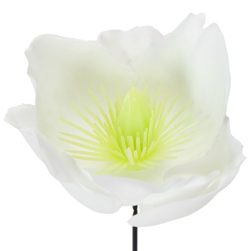 Artikel Christrose am Draht Weiß 50 St